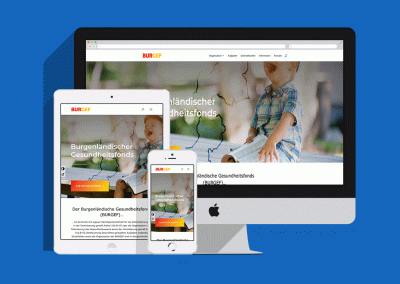 BURGEF Website